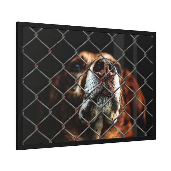 93854-5.jpg Dog Behind Wire Fence Framed Poster