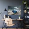 93854-506.jpg Bottle Dolphin in Desert Framed Poster