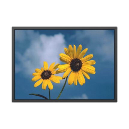 Blue Sky and Sunflower  Framed Poster