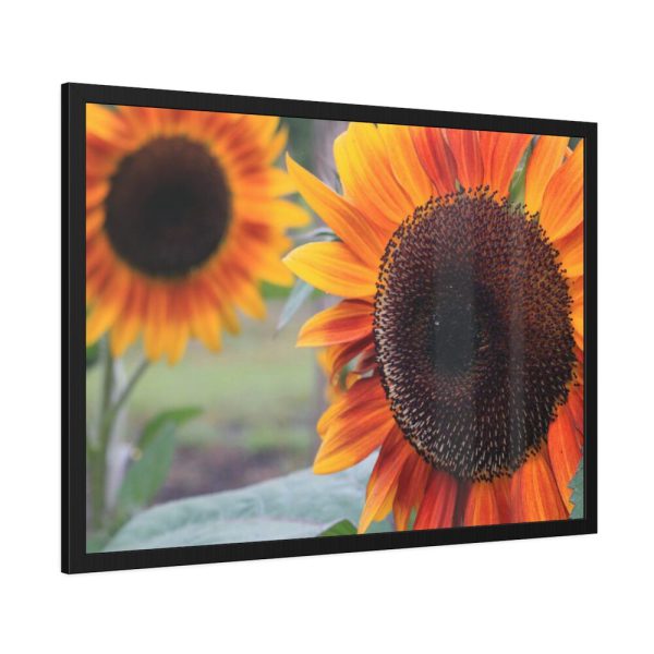 93854-545.jpg Colorful Orange Sunflower Framed Poster