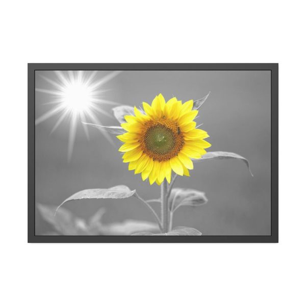 93854-548.jpg Beauty Sunflower Framed Poster