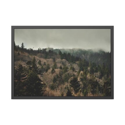 Forest Nature Framed Poster