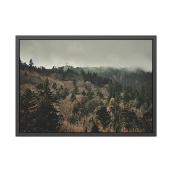 93854-572.jpg Forest Nature Framed Poster