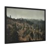 93854-573.jpg Forest Nature Framed Poster