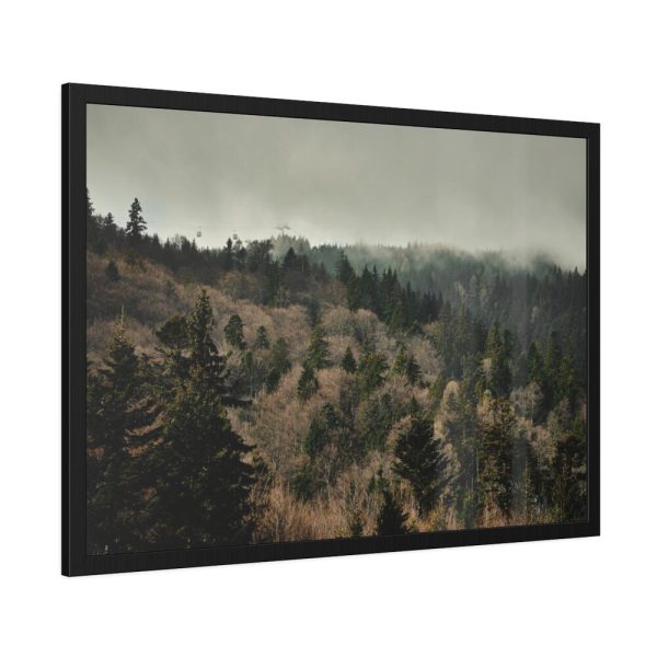 93854-573.jpg Forest Nature Framed Poster