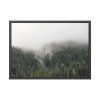 93854-576.jpg Forest in Fog Framed Poster