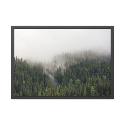Forest in Fog Framed Poster
