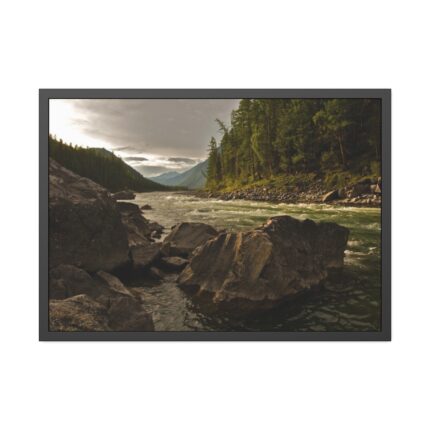 Creek River in the Forest Framed Poster