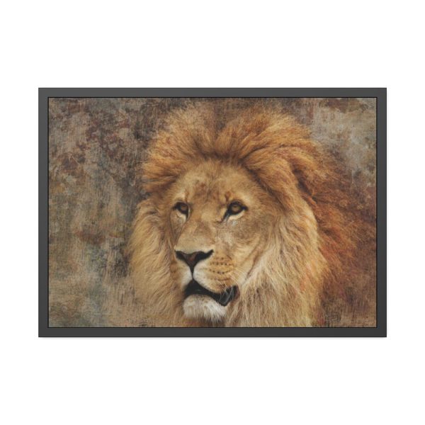 Beautiful Lion's Head Framed Poster