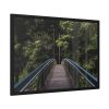 Bridge in the Forest Framed Poster