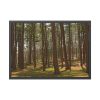 93854-632.jpg Leominster State Forest Framed Poster