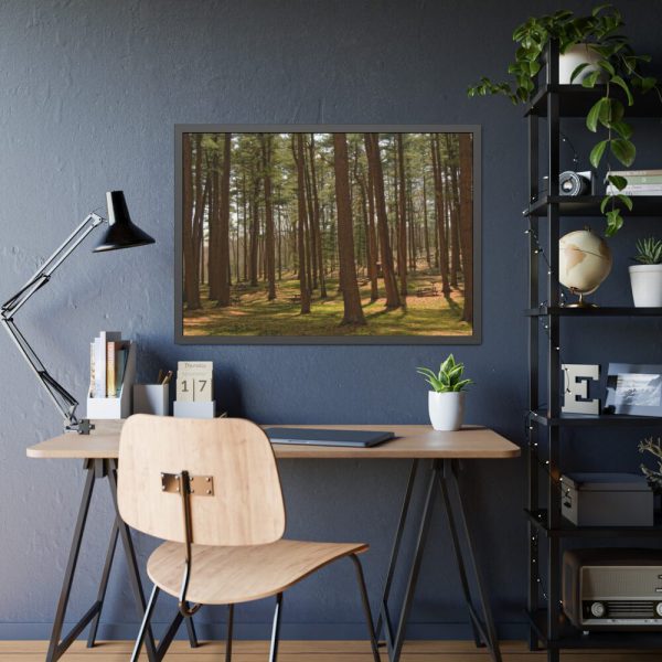 93854-634.jpg Leominster State Forest Framed Poster
