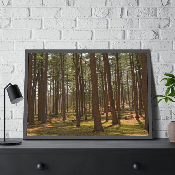 93854-635.jpg Leominster State Forest Framed Poster