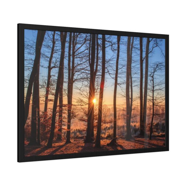 93854-649.jpg Forest Landscape with Sun and Trees Framed Poster