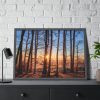 93854-651.jpg Forest Landscape with Sun and Trees Framed Poster