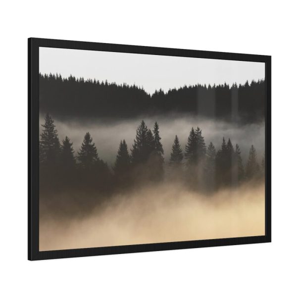 93854-661.jpg Trees and Forest in the Fog Framed Poster