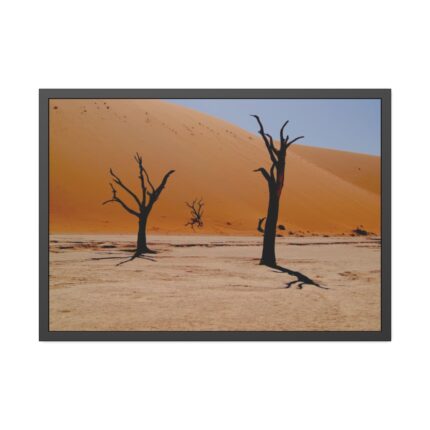 Desolate Trees in the Sandy Desert of Deadvlei Hiking Trail Framed Poster