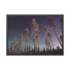 Lapland Finland Framed Poster