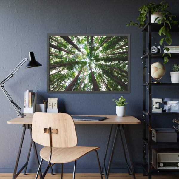 93854-718.jpg Forest in Warburton, Australia Framed Poster