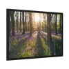93854-729.jpg Spring day Framed Poster