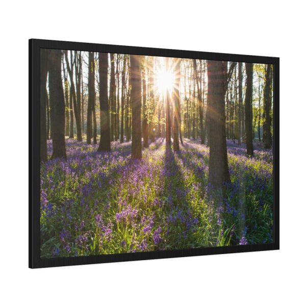 93854-729.jpg Spring day Framed Poster