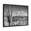 93854-741.jpg Black and White Cactus in Desert Framed Poster