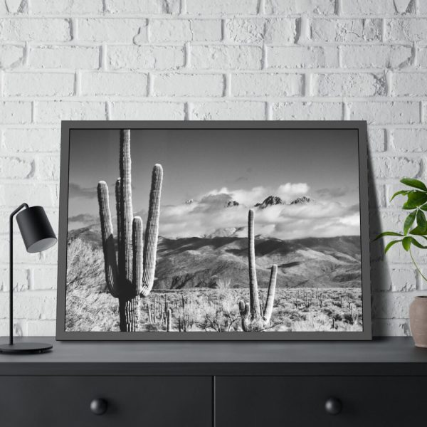 93854-743.jpg Black and White Cactus in Desert Framed Poster