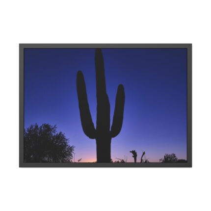 Saguaro Cactus Dominates in the Garden of the White Stallion Ranch Framed Poster