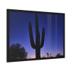 93854-749.jpg Saguaro Cactus Dominates in the Garden of the White Stallion Ranch Framed Poster