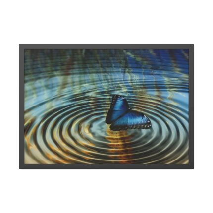Butterfly on Collage Rings Framed Poster