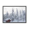 93854-772.jpg Snowfall on Trees Framed Poster