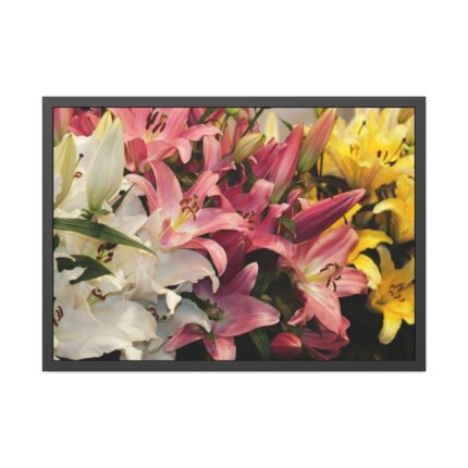 Lilies Flower  Framed Poster