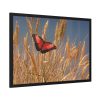 93854-81.jpg Grain Halme Cereals Butterfly Framed Poster