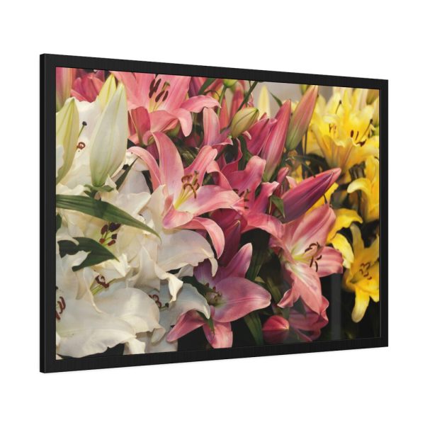 Lilies Flower  Framed Poster