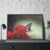 93854-95.jpg Butterfly on Red Flower Framed Poster
