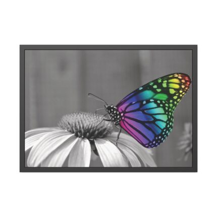 Colorful Butterfly on Flower Framed Poster