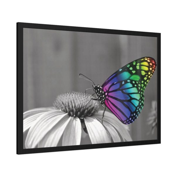 93854-97.jpg Colorful Butterfly on Flower Framed Poster
