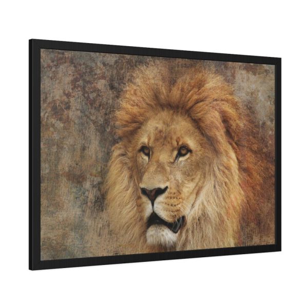 Beautiful Lion's Head Framed Poster