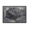 93855-1107.jpg Bird Feather Framed Poster