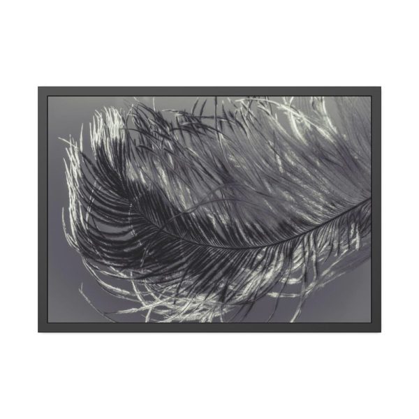 93855-1107.jpg Bird Feather Framed Poster