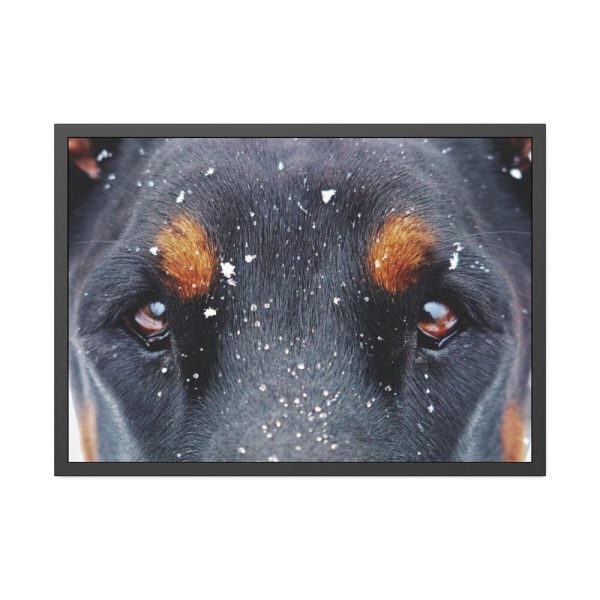 93855-112.jpg Eyes and Snowflakes Framed Poster