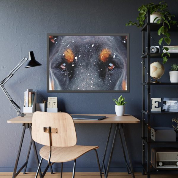 93855-114.jpg Eyes and Snowflakes Framed Poster