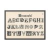 93855-1159.jpg Draughtsman's Alphabets by Hermann Esser Framed Poster