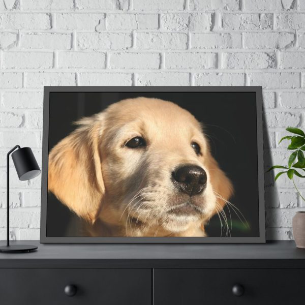 93855-119.jpg Little Golden Retriever Framed Poster