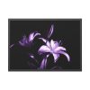 Purple Lily Framed Poster