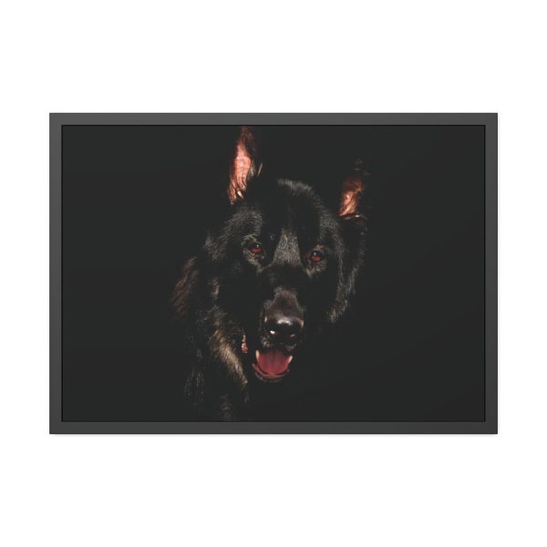 Head of a German Shepherd Framed Poster