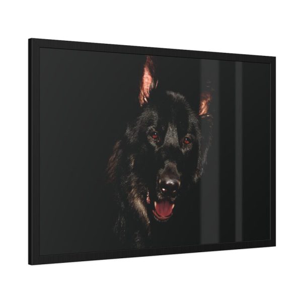 Head of a German Shepherd Framed Poster