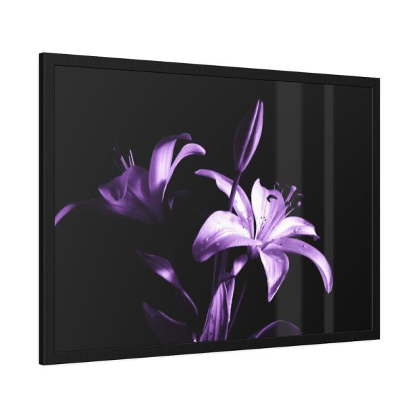 Purple Lily Framed Poster