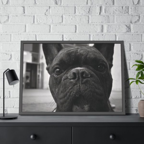 93855-139.jpg French Bulldog Framed Poster