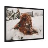 Dog Lying on Snow Framed Poster